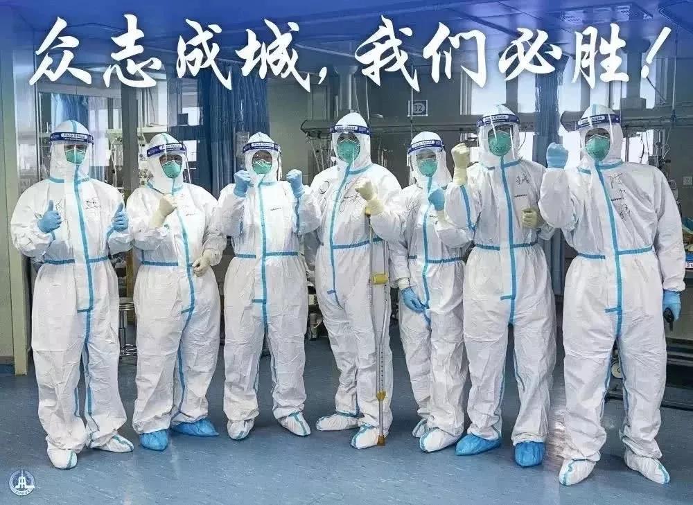 新冠疫情百科，全面解析与深度理解指南