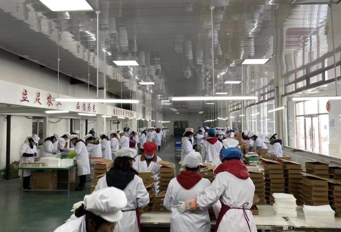 疫情始于哪一月，回顾与反思疫情起源时刻