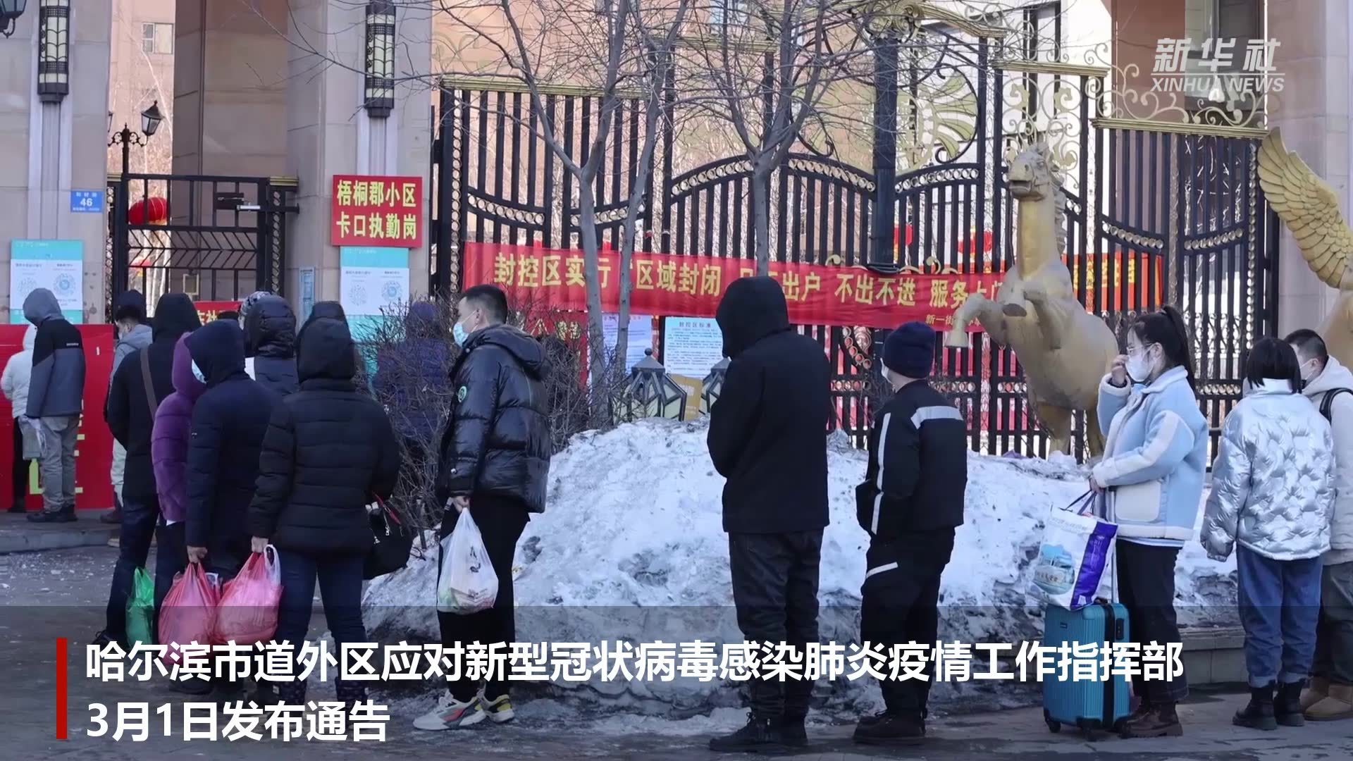 哈尔滨疫情起源探究