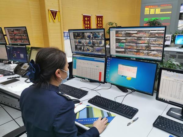 浙江省当前疫情状况深度解析