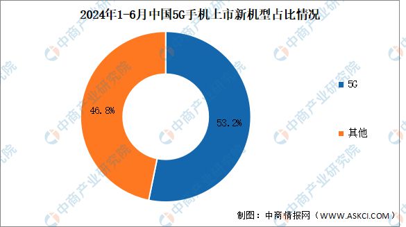 观察与探讨，2024年深圳疫情状况