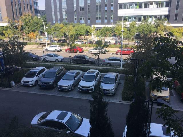 疫情下的家庭变迁，挑战与适应之道