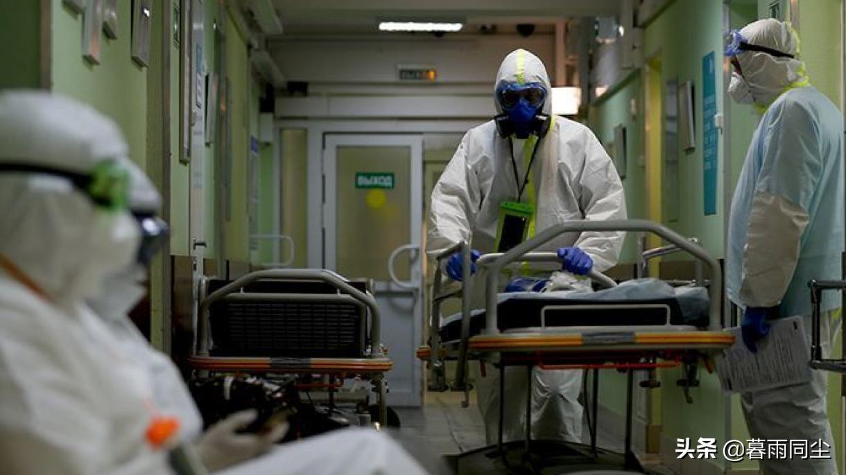 疫情死亡人数的深度剖析