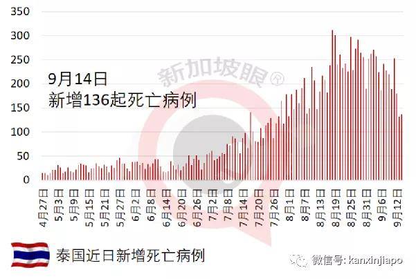 中国疫情死亡人数分析回顾与反思，2020年挑战与应对策略的审视