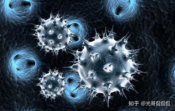 疫情下的神秘病毒，起源、传播与防控策略揭秘