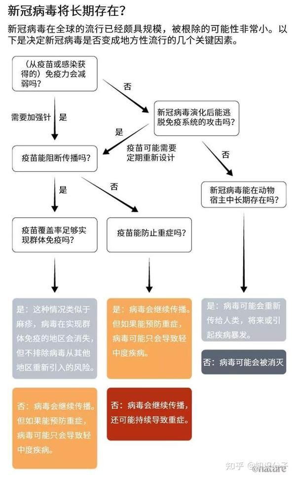 疫情病毒症状解析，深入理解与应对策略