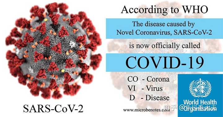 COVID-19疫情病毒名字探究及其深远影响
