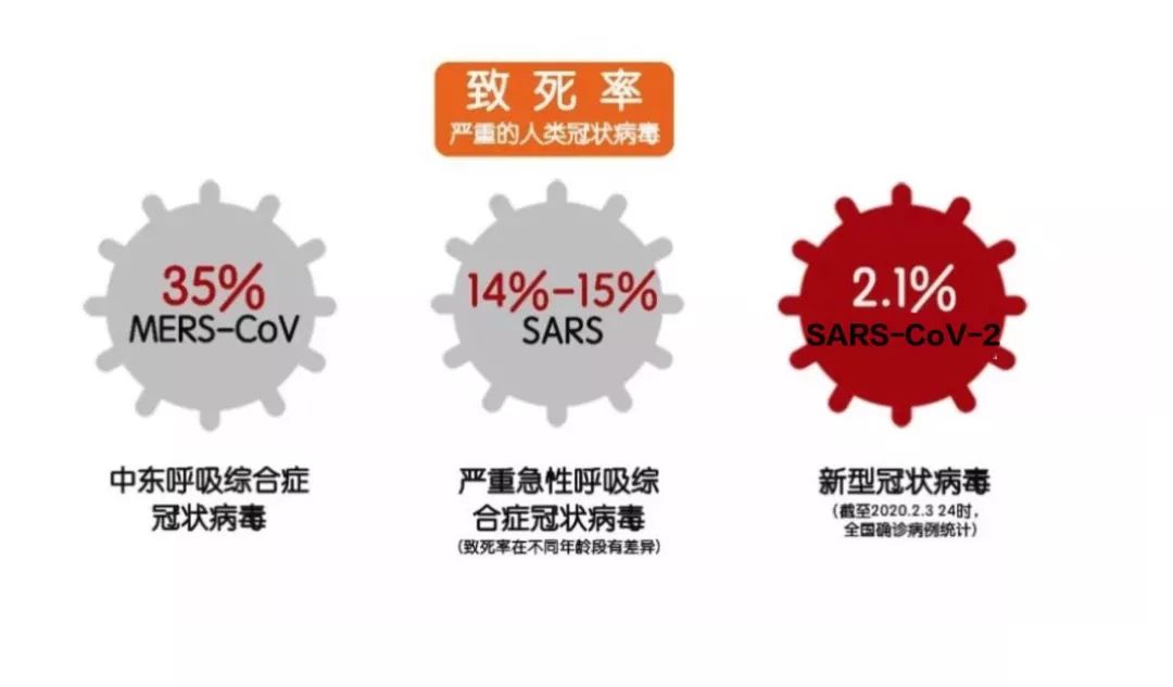 疫情病毒全称及影响深度探讨