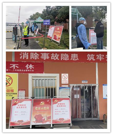 全球共同应对新的健康挑战，疫情新命名及其影响