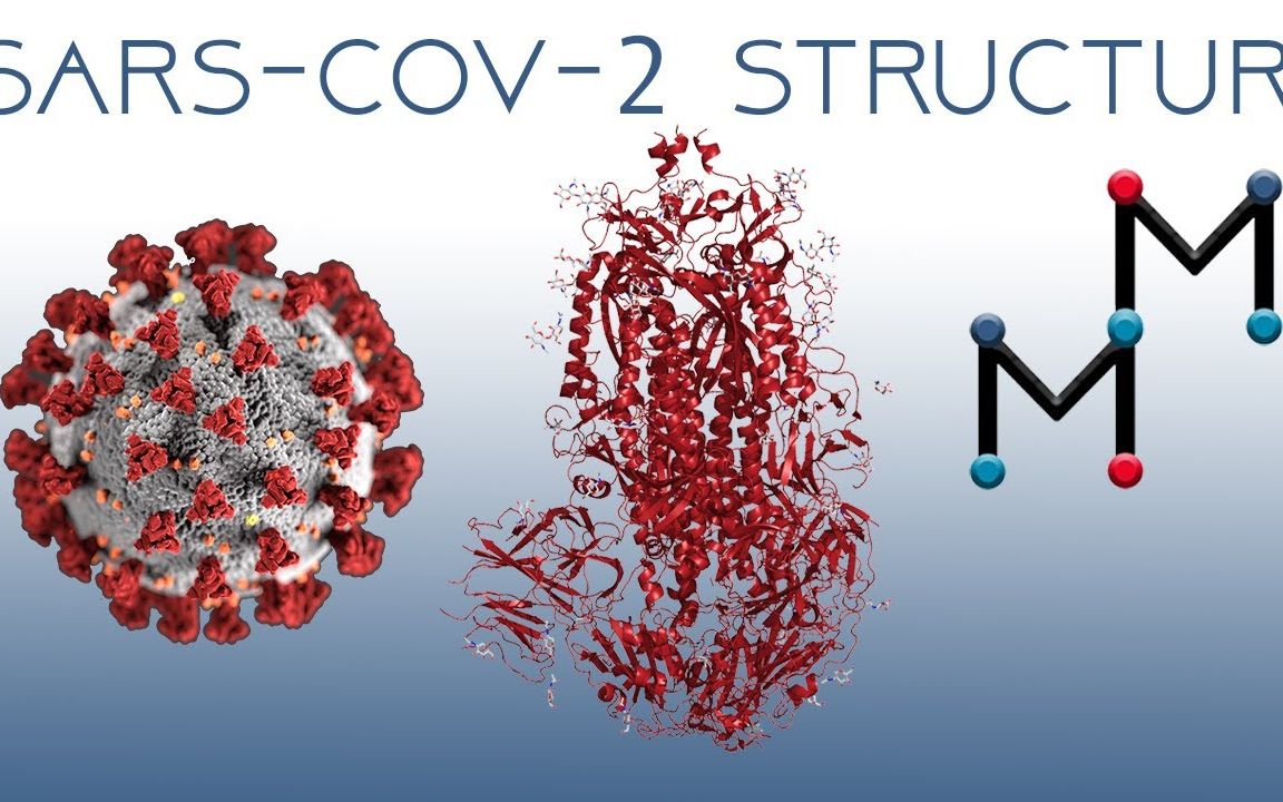 新冠疫情病毒SARS-CoV-2研究概述