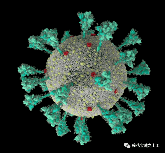 疫情病毒起源探究，真相探寻与预防策略