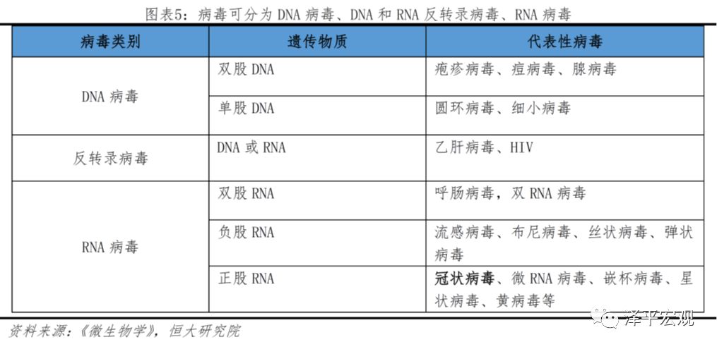 疫情下的病毒，新型冠状病毒命名及其影响