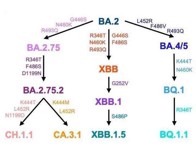 第二次疫情发生时间变化及其影响分析