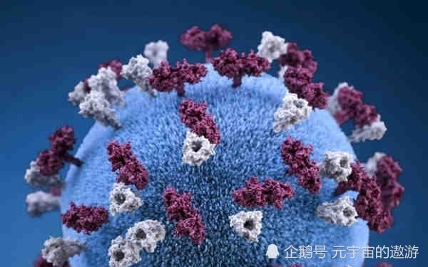 新冠病毒未来走向与影响，疫情将持续多久？