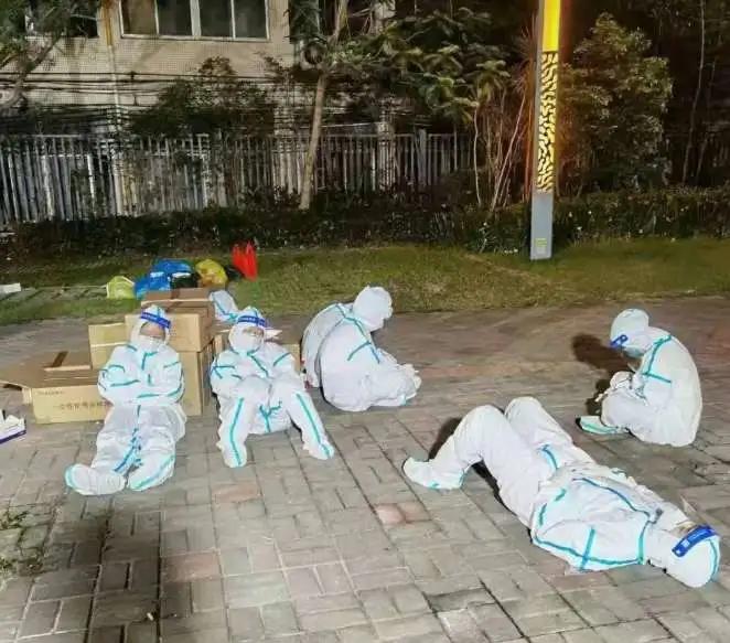 疫情病毒起源探索，源头与真相揭秘