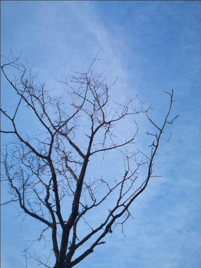 疫情期间的生活反思，英语作文视角下的观察与体会