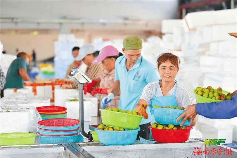 疫情时代，新冠肺炎的挑战与希望并存