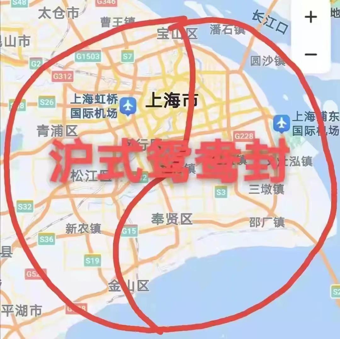上海疫情动态更新，应对挑战与把握机遇，2025年展望