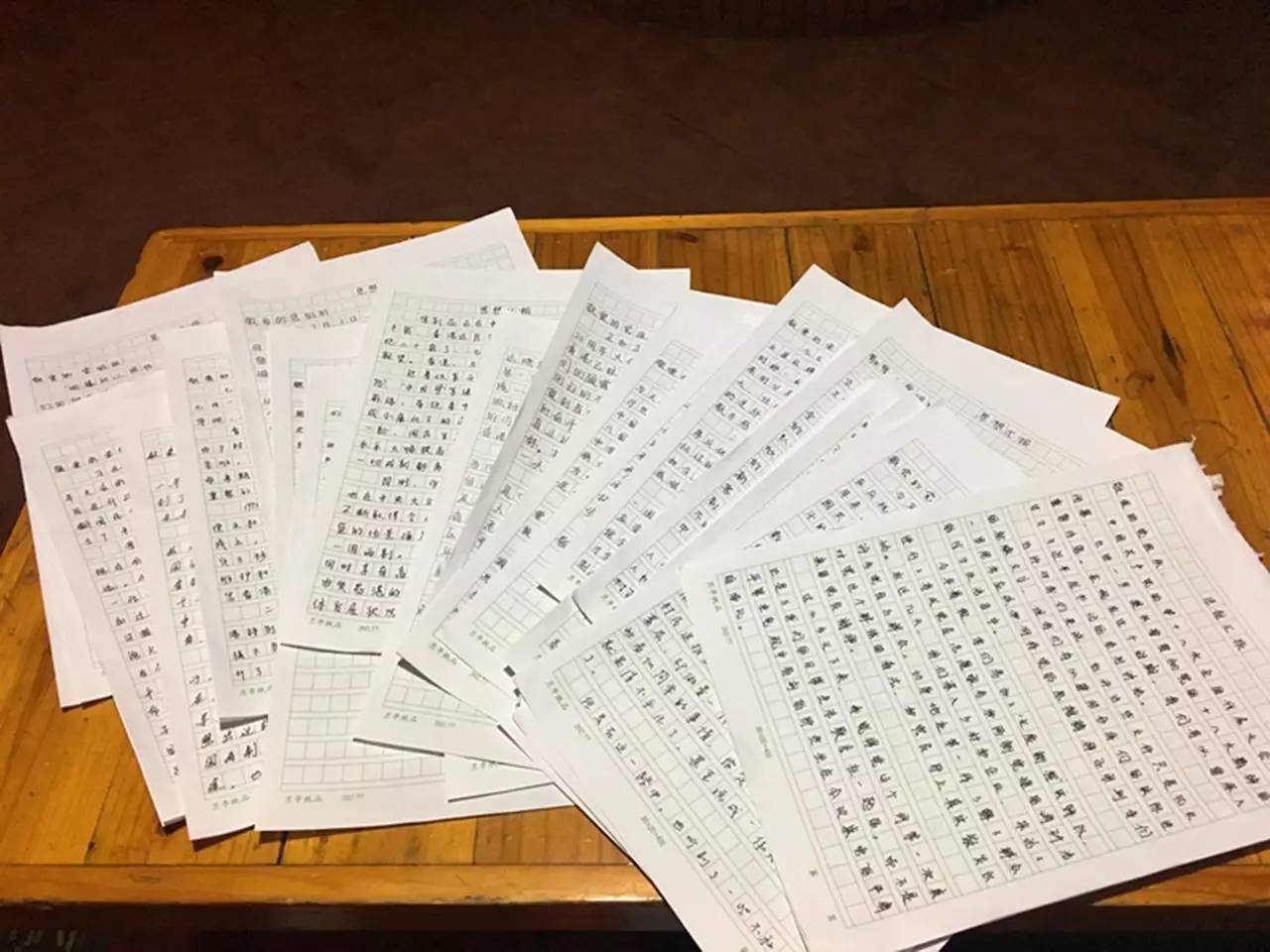 疫情全面开放后的感想与思想汇报总结
