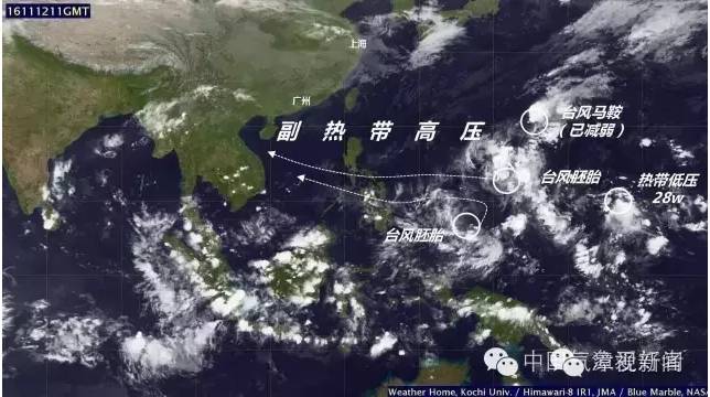 疫情阴霾下的亏损风暴，商海中的数百万沉浮之旅