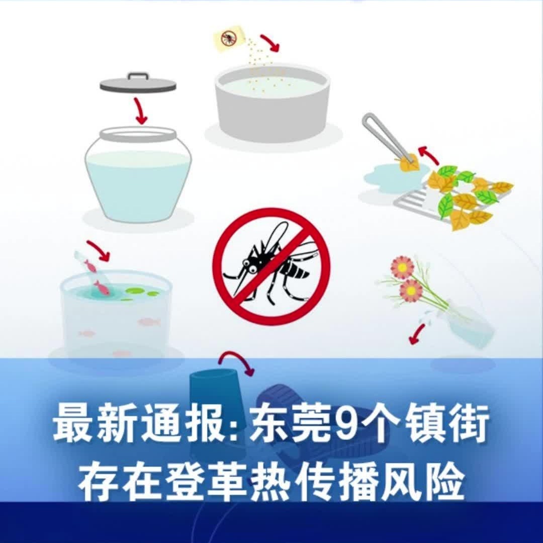 广东东莞登革热疫情全面防控，保障民众健康最新消息揭秘