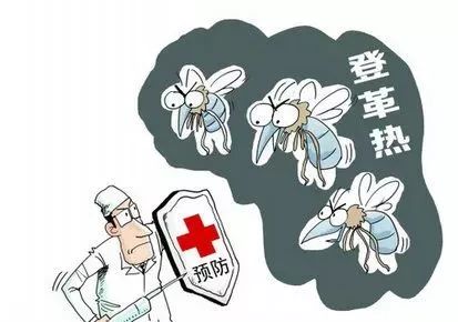 广东东莞登革热疫情全面防控，保障民众健康最新消息揭秘