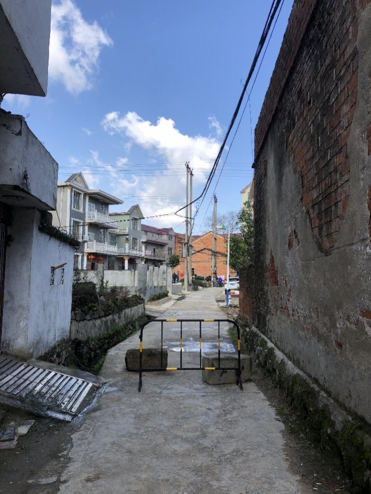 东莞疫情解除管控的时间节点与策略解析