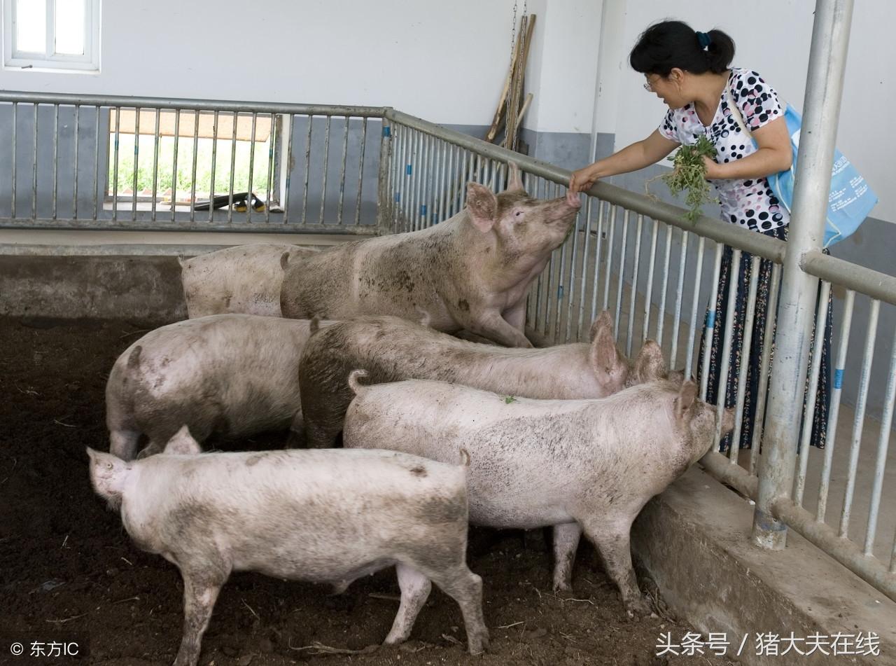 疫情期间实体亏损深度剖析与应对策略
