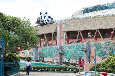 疫情下企业生存挑战及破产数量分析探究