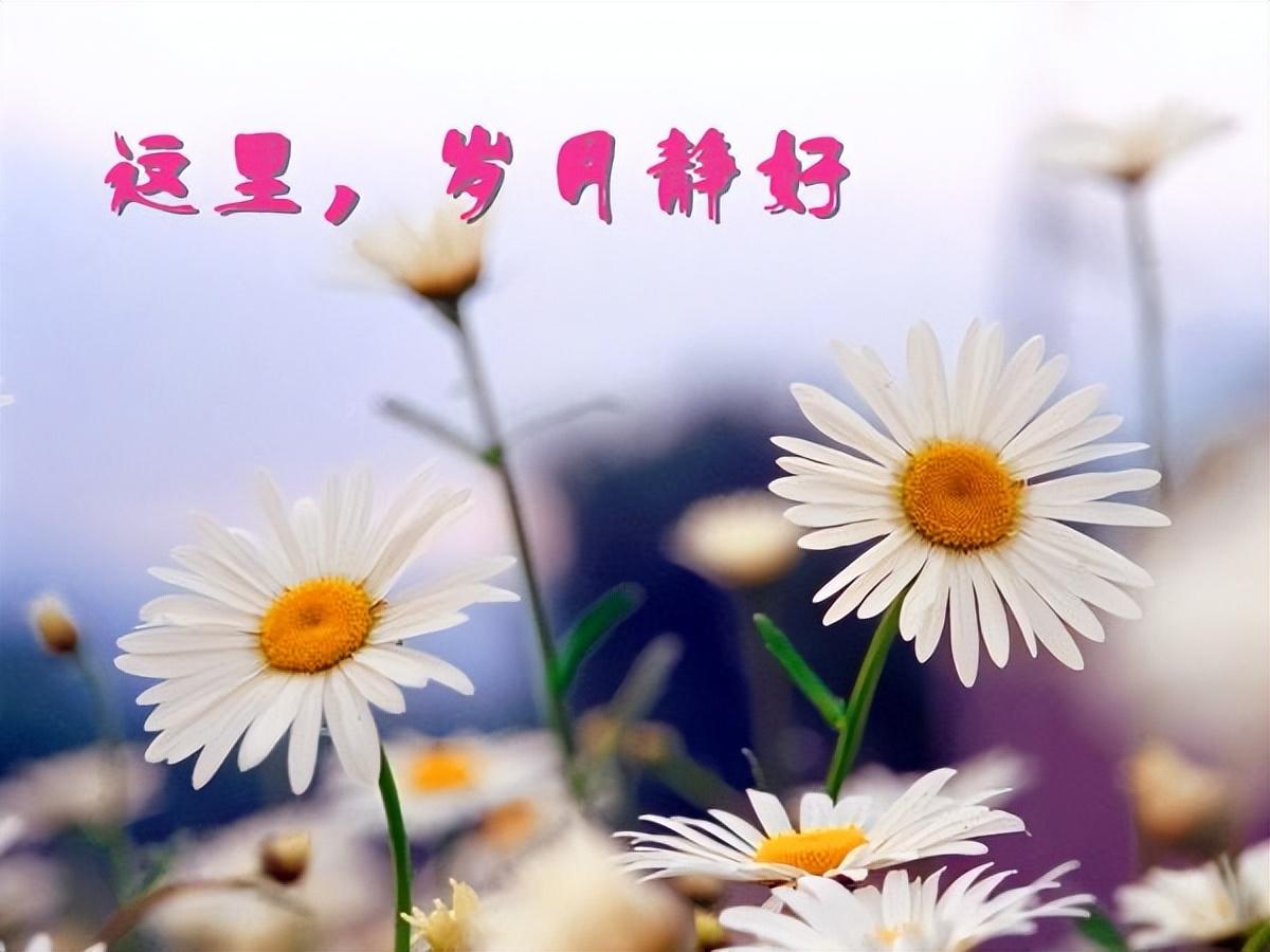 全球疫情动态，聚焦最新消息，从2019到2023年的疫情追踪