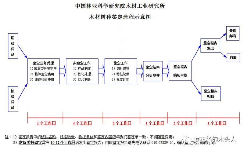 海南省疫情报告全面解析
