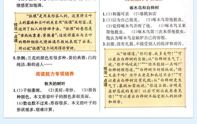 内蒙古疫情重要通知发布，应对策略全面解读