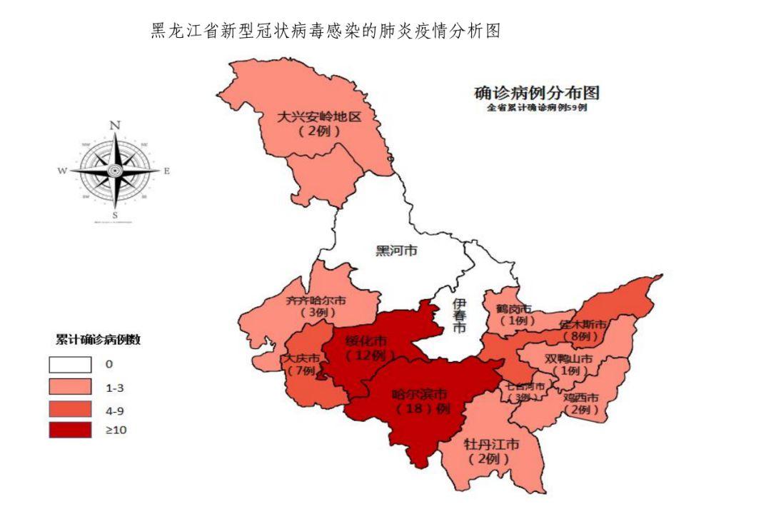 黑龙江省疫情最新消息全面解读与分析