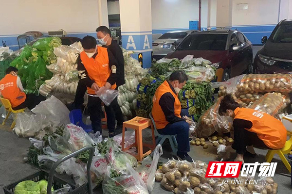 长沙疫情期间配送公司全景概览