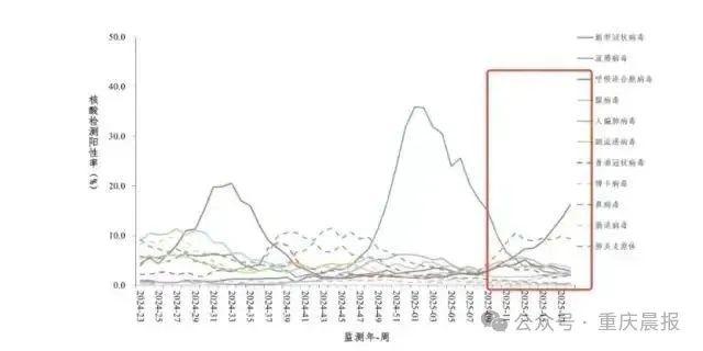 重庆市疫情防控图，揭示疫情现状与未来趋势的利器