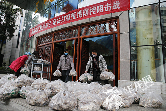 重庆与上海协同防疫，共筑健康防线