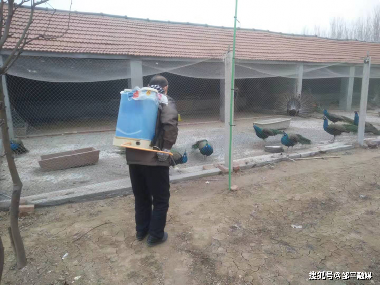 重庆对南京疫情发出警示，携手筑牢防线，共守城市安全