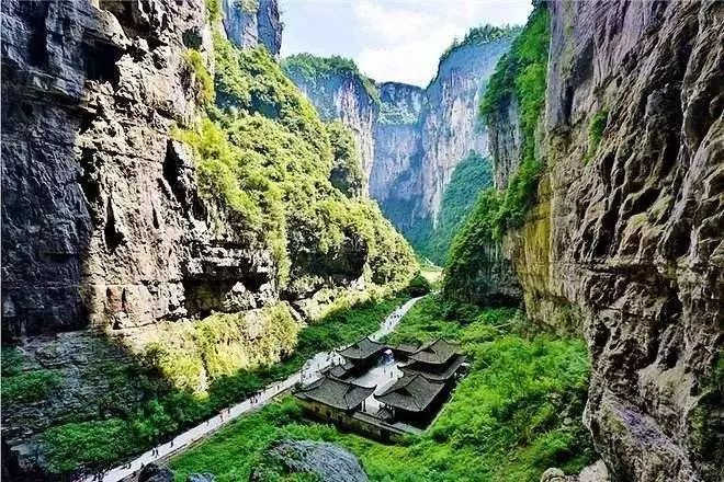 重庆疫区，坚韧与希望的乐章