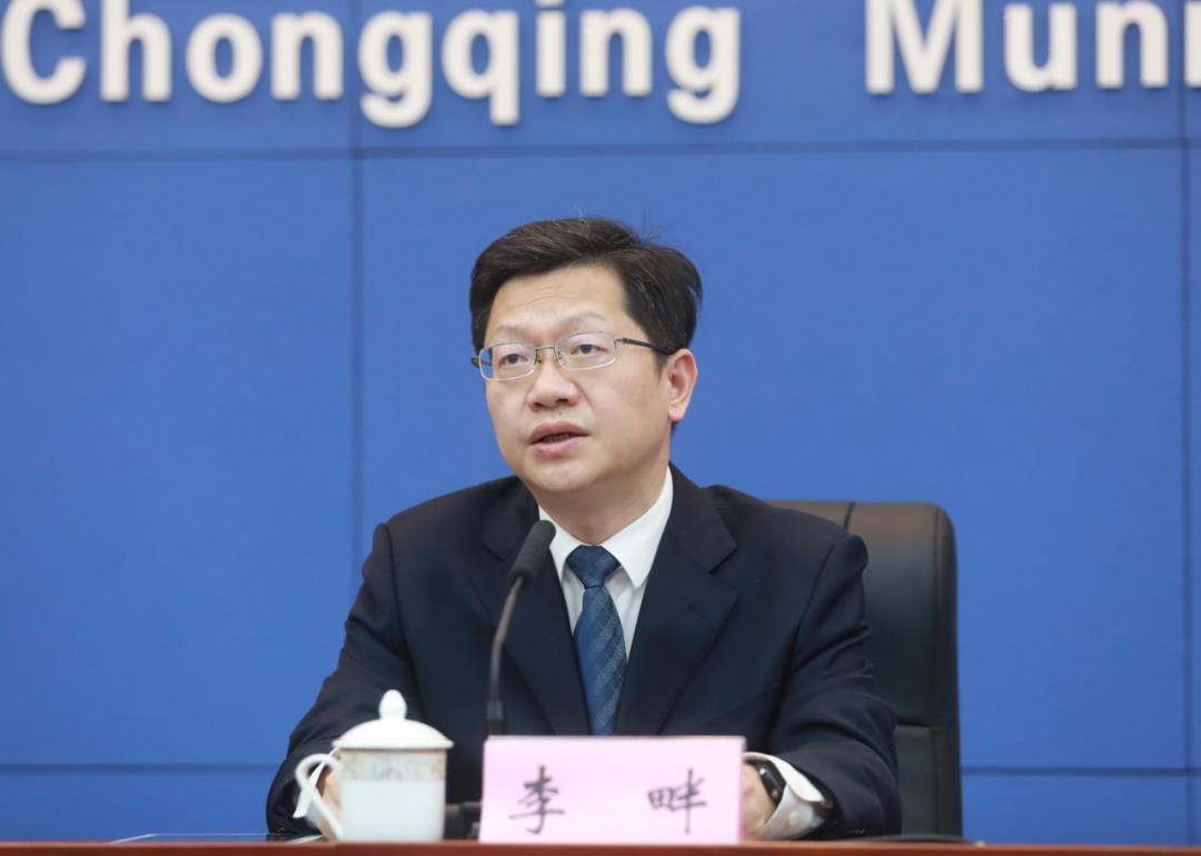 重庆市与湖南省疫情报告深度解析