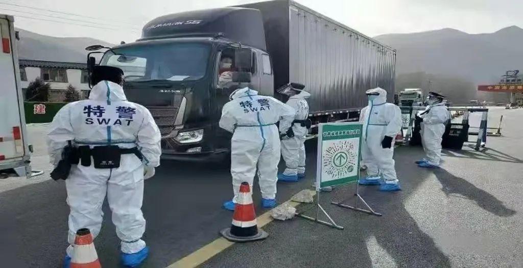 重庆与甘肃疫情报告全面解析