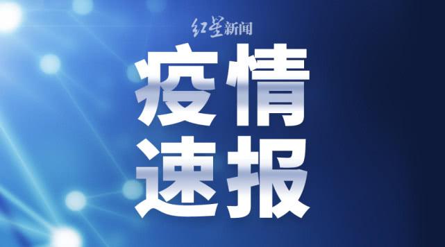 重庆疫情中心，挑战与应对策略