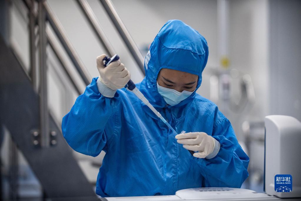 重庆市与南昌疫情最新报告，城市防疫进展与动态观察