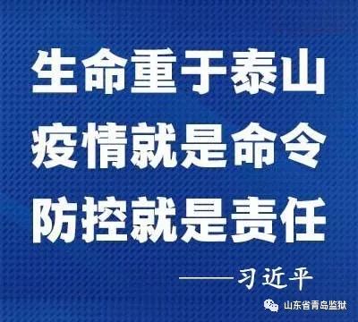 重庆市疫情防控指挥部核心作用及策略部署揭秘