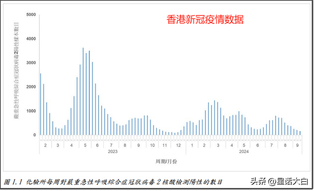 福建省疫情报告与香港动态分析，最新数据与趋势探讨