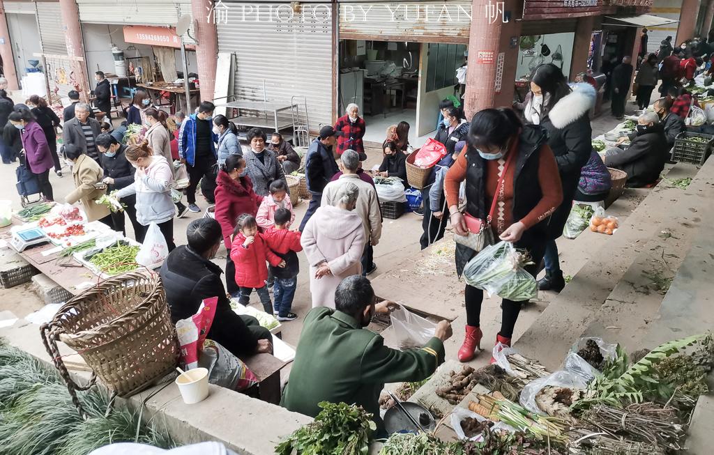 重庆与北京疫情隔离政策比较探析
