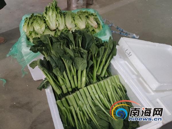 重庆与海口疫情最新动态，城市防控与更新报告