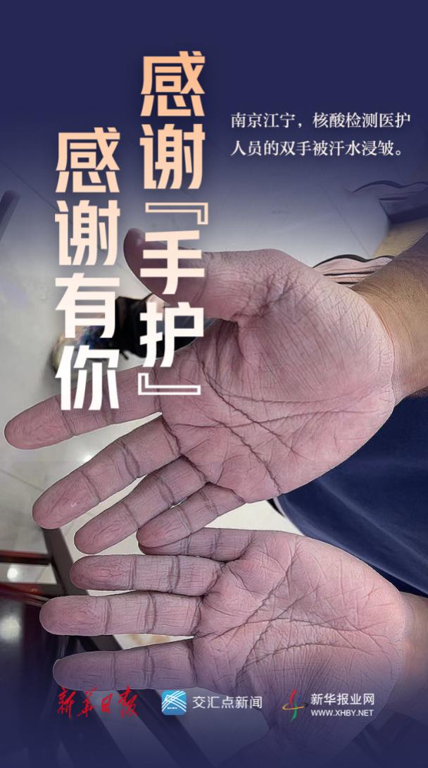 青海与南京携手抗疫，共筑家园安宁，疫情最新动态公告