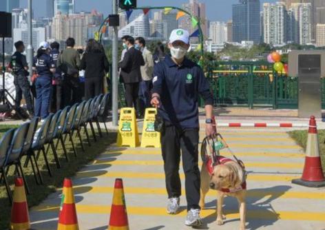 青海与澳门防疫动态更新，政府公告揭示最新防疫措施与进展