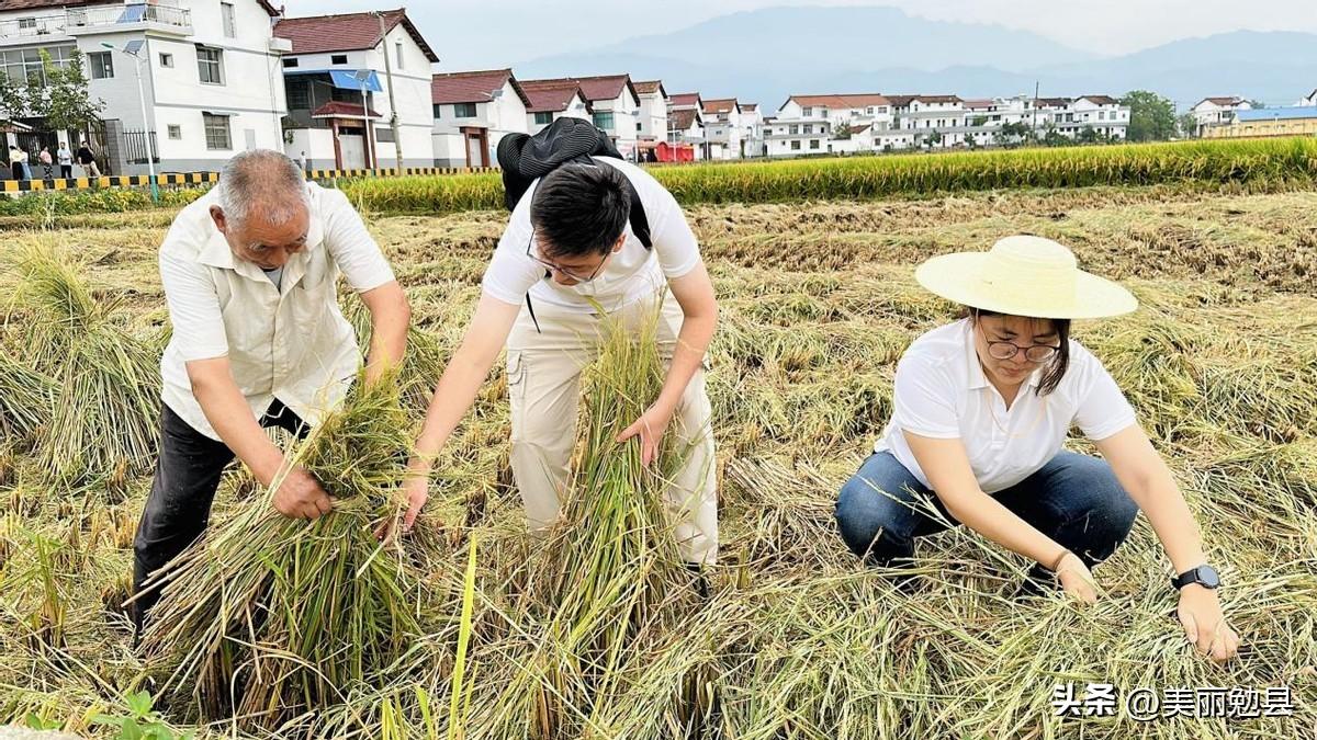 陕西省财政支出分析与探讨