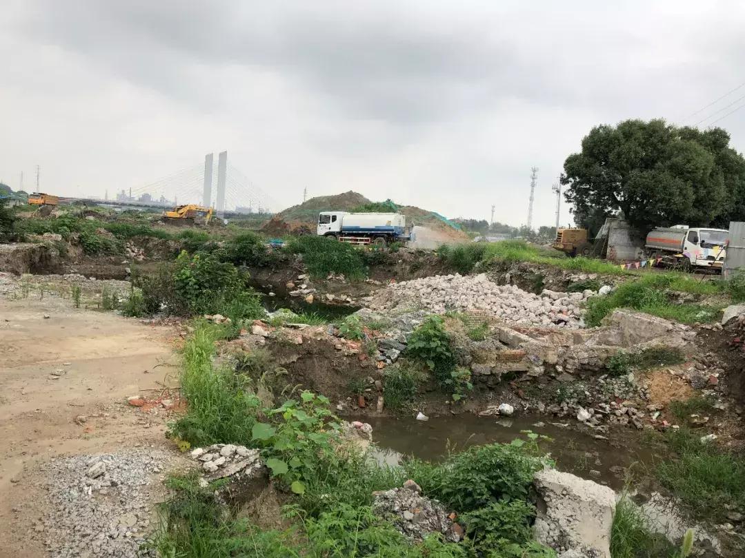陕西省丹凤县丹中新校区，新星崛起，教育未来展望